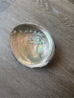 UNAVAILABLE Mother of Pearl Shell